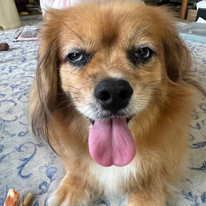 075f27d6 a95a 4ad8 83f8 2f9f922f56cf 1722896092113