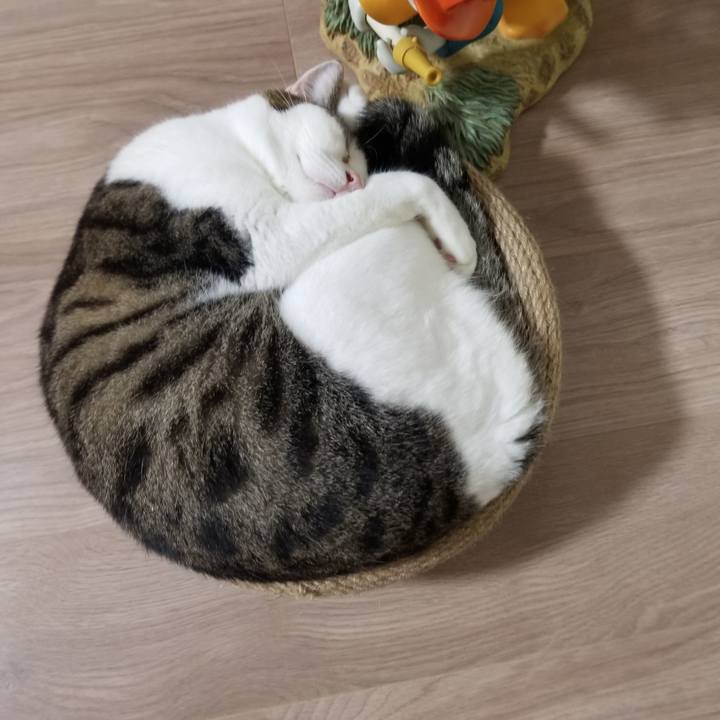 075f2c6b 85c2 46bf 9cf9 ee6c6b7af13f 1602447540123