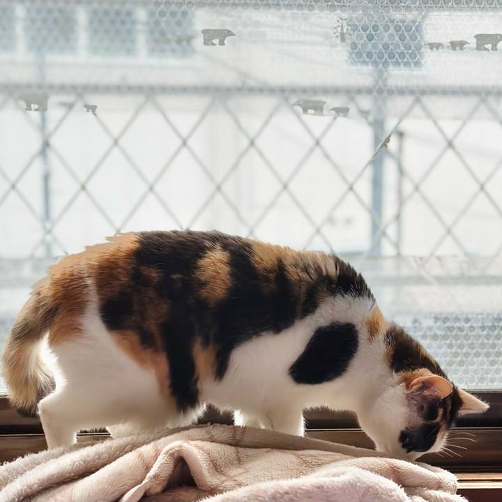 075f457c 7980 4c70 8f16 a45f8322708e 1680659240142