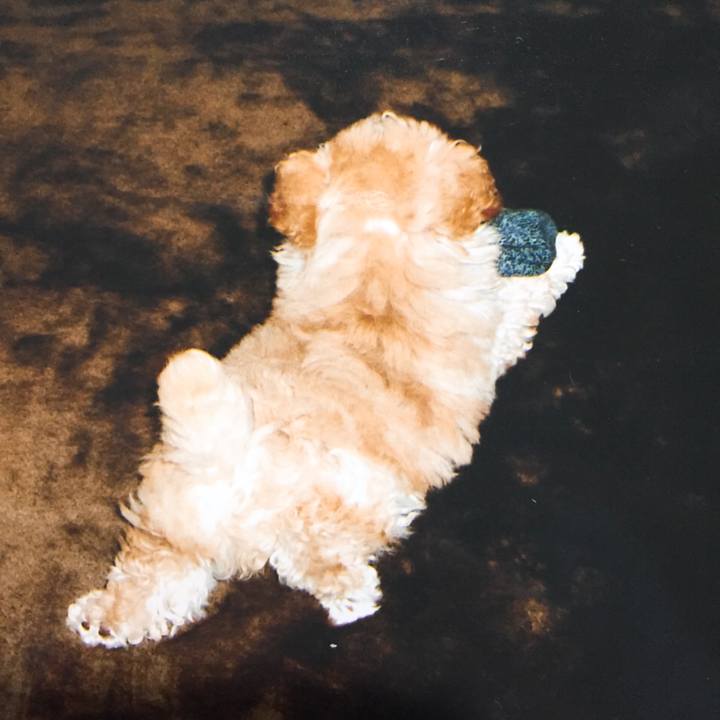 075f4a3f 53f7 4880 91b3 b4c3242828c4 1535670069418