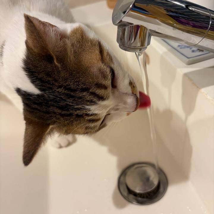 075f6769 ef85 4227 aa48 4b4f7ce36da2 1766280716586