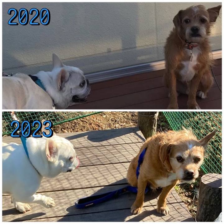 075f917e c7de 4b48 9426 02a7079212cc 1677408859062