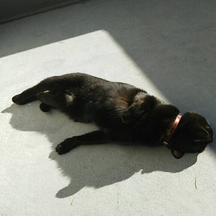 075f92f0 dfb3 4833 a818 ceb040345251 1515064225287