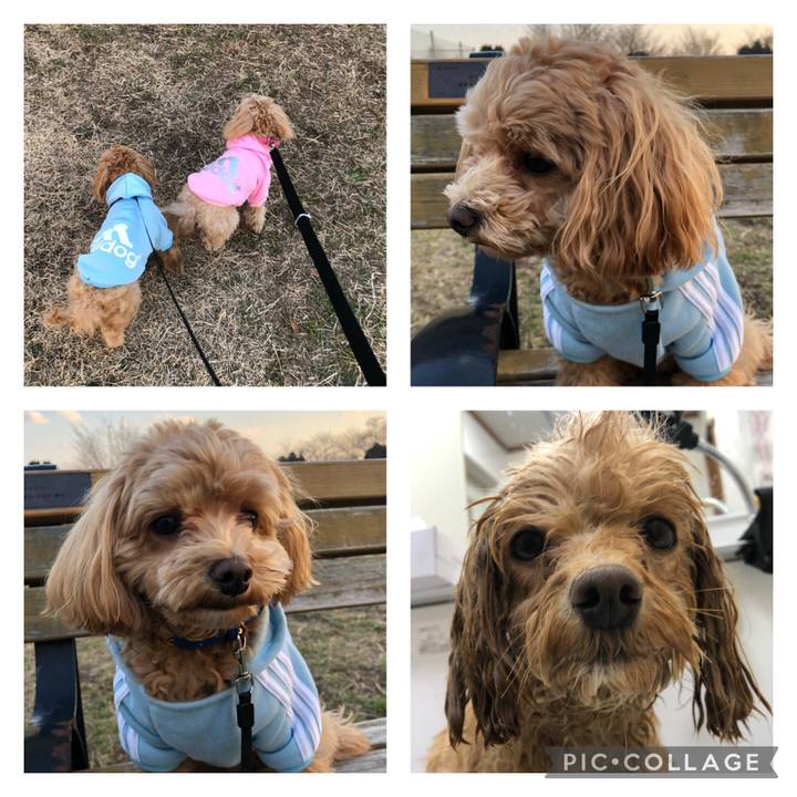 075fa239 5a4a 4ea2 a79a fba0abe2d044 1612715442974