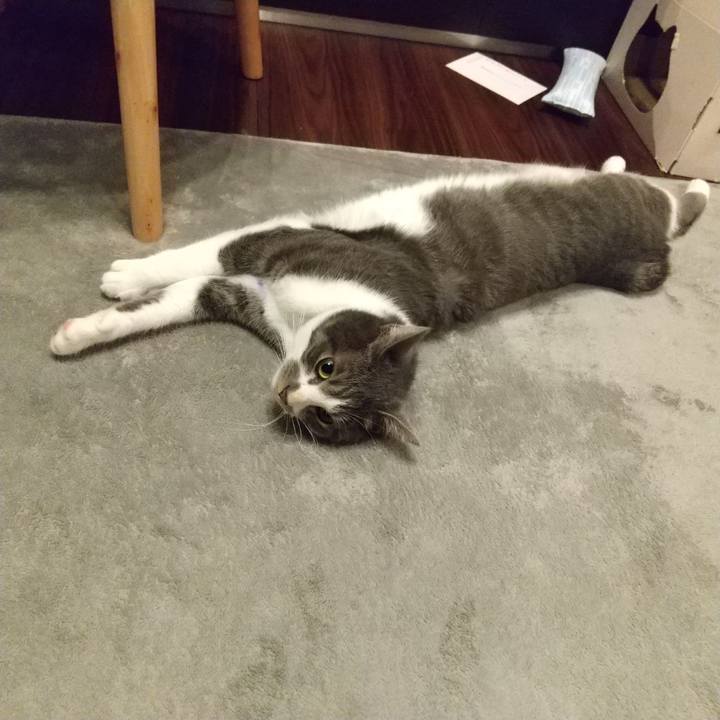 075fb492 e1a2 41f2 b61e 8c399ca17084 1604750019490