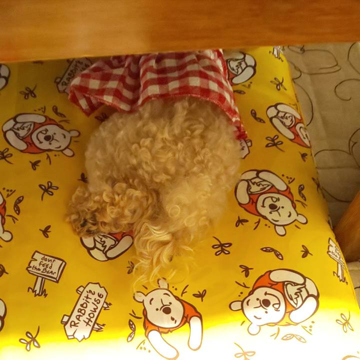 075fbf0b 89df 45c5 a846 ce9321be695e 1589630060192