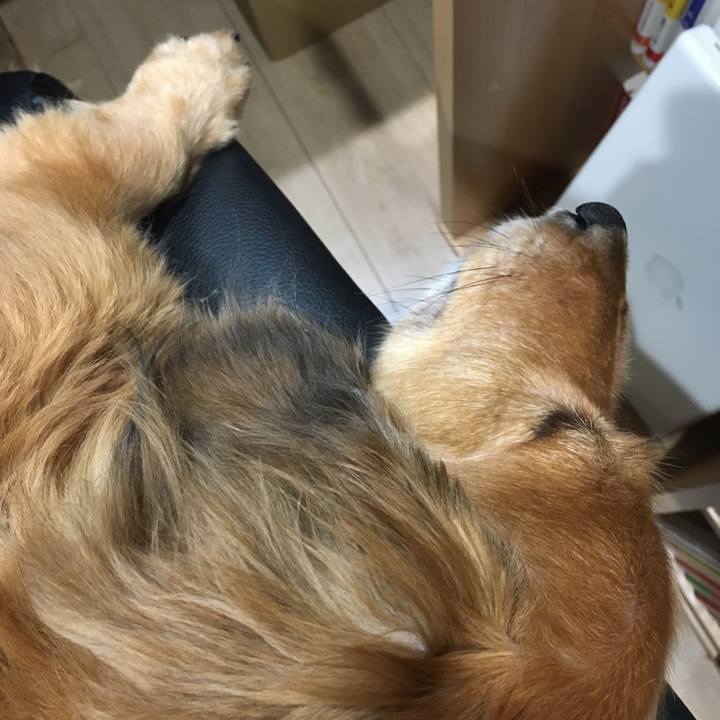 075fcfec 451d 443c bc4b 1bc8e25c5a36 1529148576699