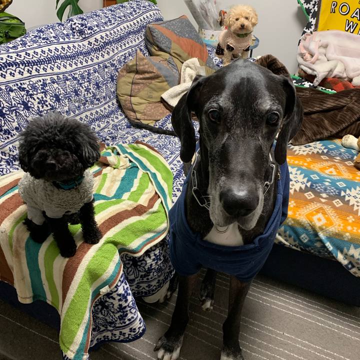 075fe3de 5f90 4687 a2de aad934cf8b7a 1579645609298