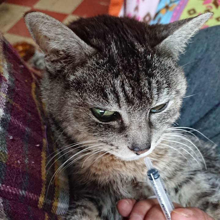 075fef17 e259 4d0a 88e6 452a546788dc 1585438845682