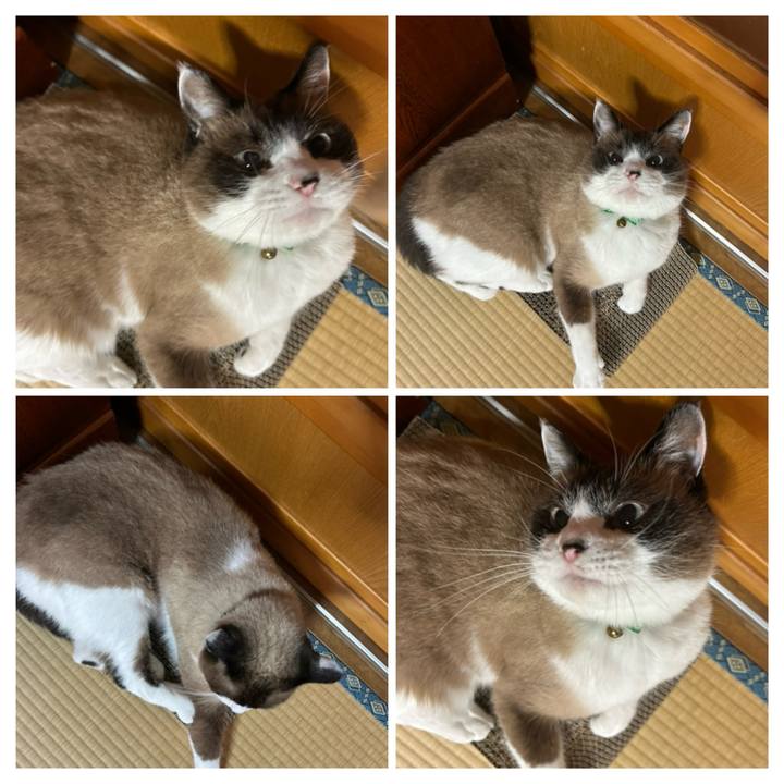 076008a3 7067 454e 8562 68ef54b09d02 1759270948970