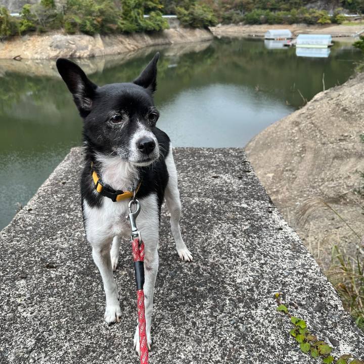 07601896 4aa3 4d5b a9fa d42fea37b3cb 1698672379394