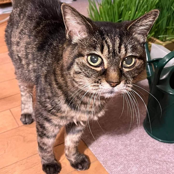 0760288a ddff 478c a1b2 285d79370d8a 1767656216960