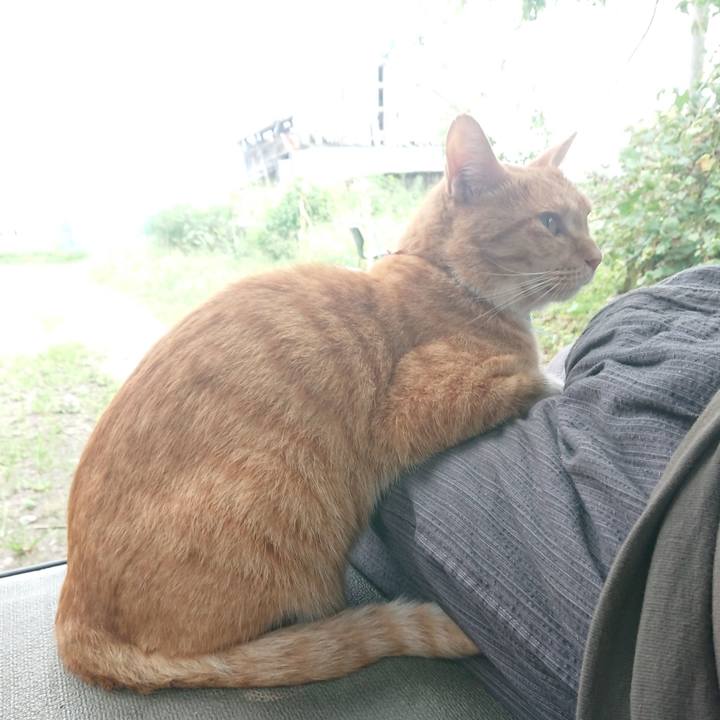 076045b0 da97 4b77 9f82 b139cfaef4d4 1599978687719