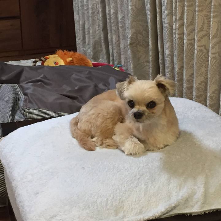 07606e27 cd88 44e3 8e35 924db5869e3e 1553250692380