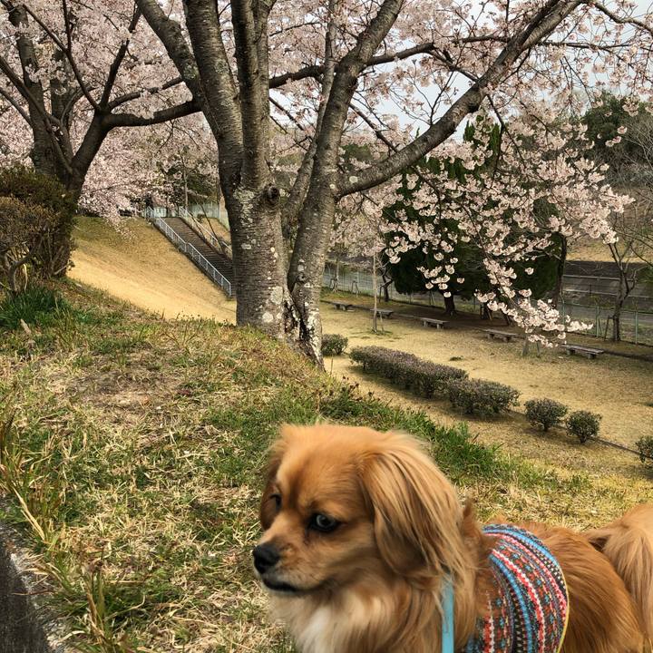 0760833f 7b50 4282 b6b0 f23ce7acbb3a 1554505545466