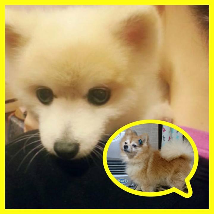 07608858 5d5c 4576 aeff 8dedbafb644a 1511099777808