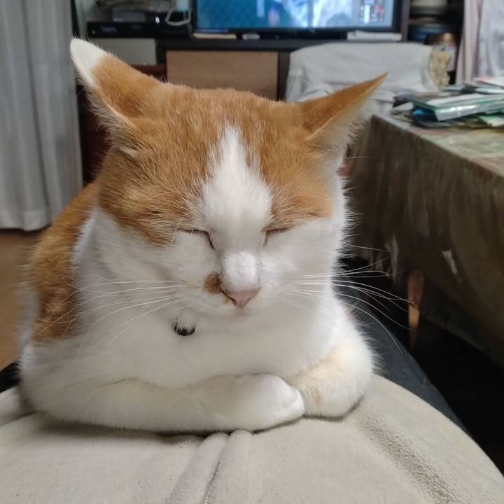 0760aaa1 bba8 4a77 b7c3 0aec2f846d9a 1763517464065