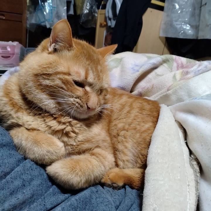 0760c2be 9530 4e4c 8398 a9994996bafd 1702295344038