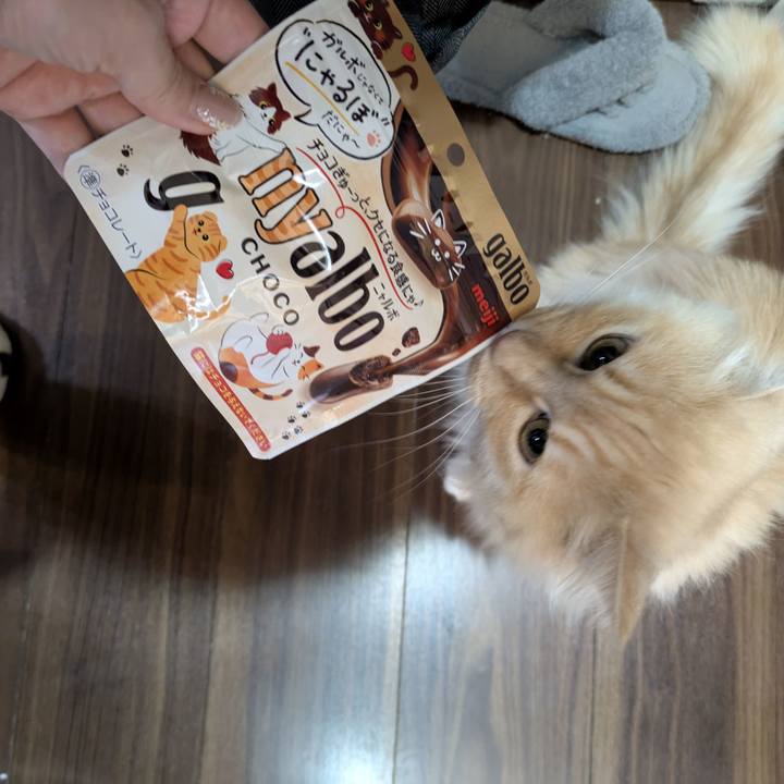 0760db69 946b 4239 a855 a84beb2bde24 1770773826120