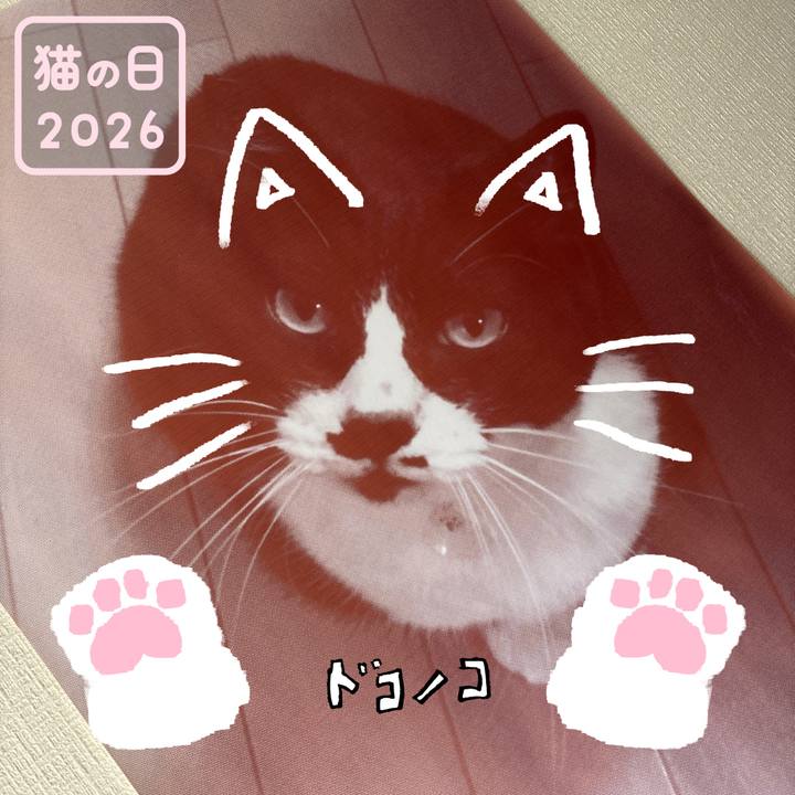 0760ea63 ffca 4dde ab60 e471e0f9b83b 1771715422714