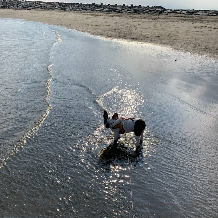 0760ff47 0d99 40b8 94c7 c8b4838bde09 1570282871399