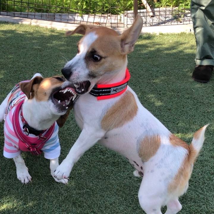 0761699d 2d29 4ea8 9fe1 d9452b111acd 1568971595157