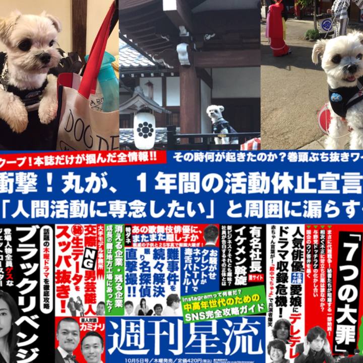 07616bd2 7fcf 408a 8563 0a0e73ab6366 1508591479252