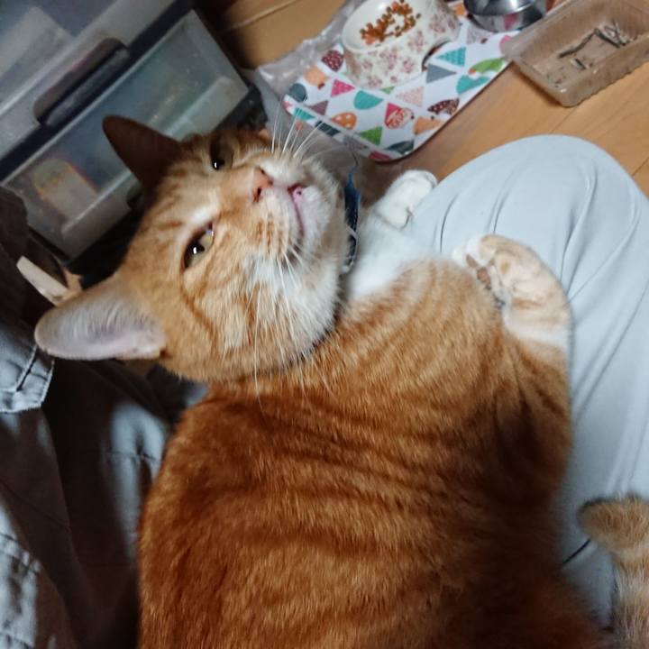 076173b7 55e2 47be 83ce 84a71908030a 1601282526607