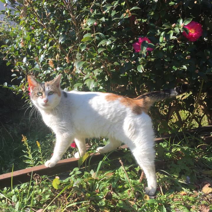 07617ade ad63 4ab8 bafb 756c196ec185 1576401083250