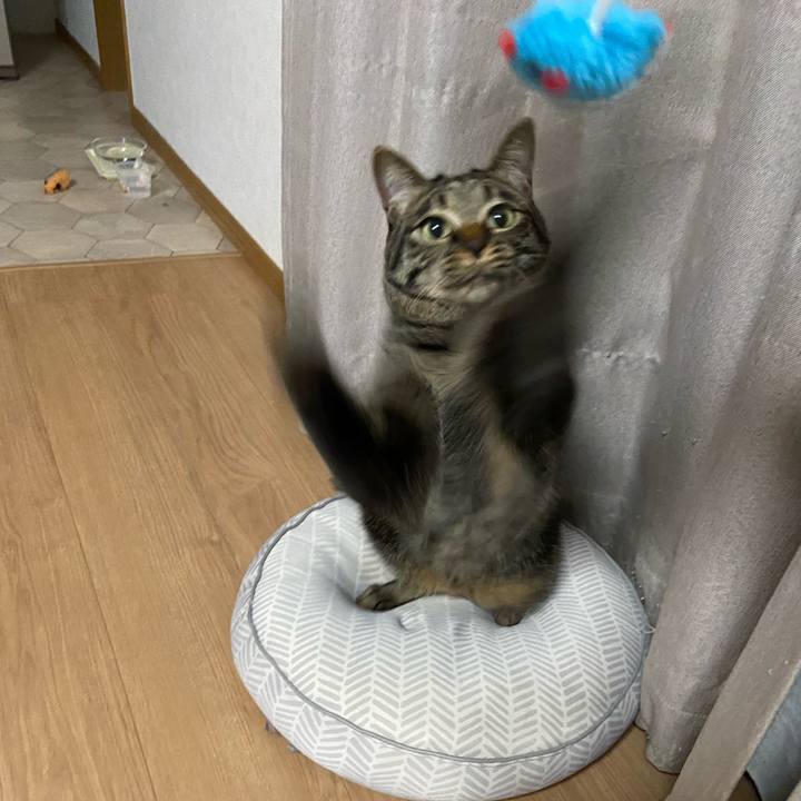 0761c2cf e850 4a27 9bf9 1f256f733417 1650632394918