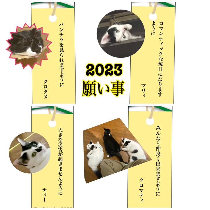 0761c74d 8a15 498f b239 8ad230f3d7f8 1688689112713