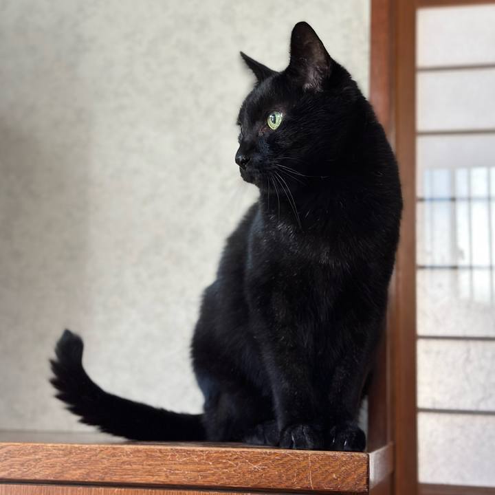 0761cb8e 9df3 4f1f a6f8 fe635a5d9b47 1667007346025