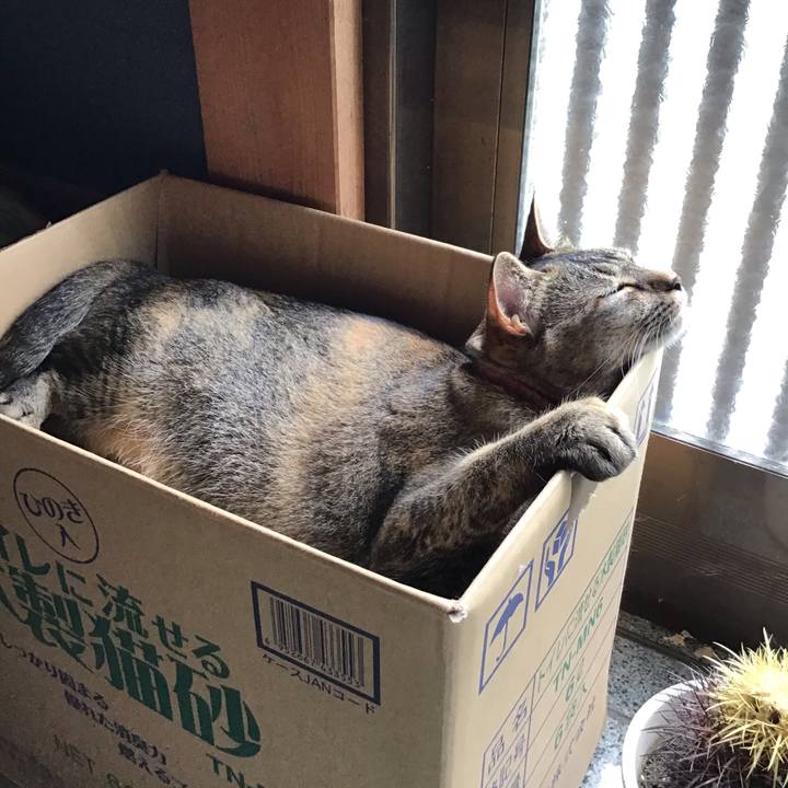 076205d7 2d21 442b bba2 ef0c09dd4762 1596268362601