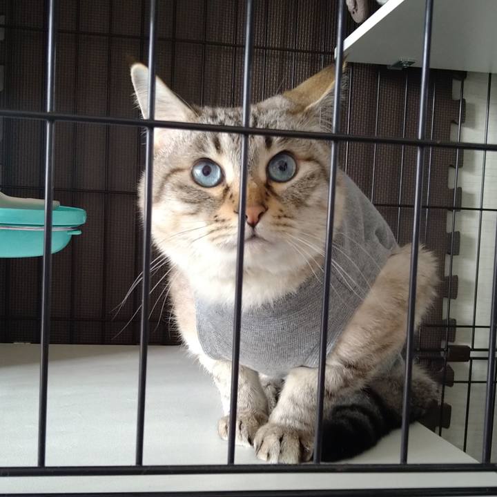 0762198c 8fa9 4db8 8ccd db30cb681930 1745034370179