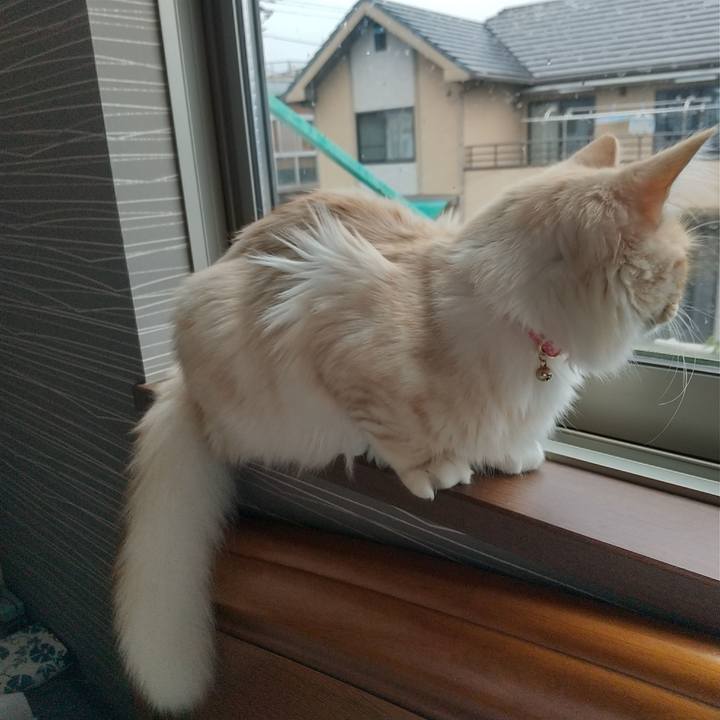 076230b2 bf89 4bf3 8db7 00d953a77b46 1618355278875