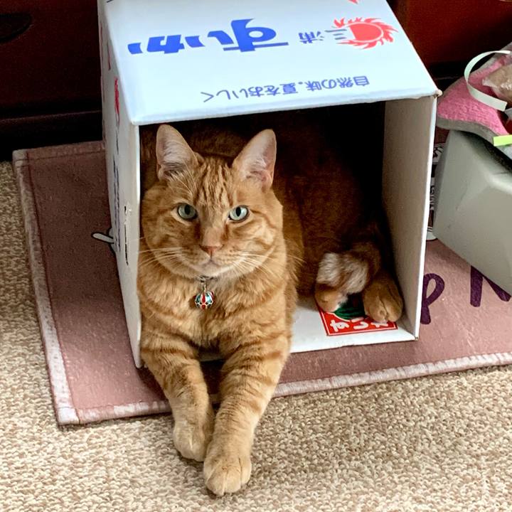 07623c28 39bb 494a b630 f67996e59a04 1754953348801