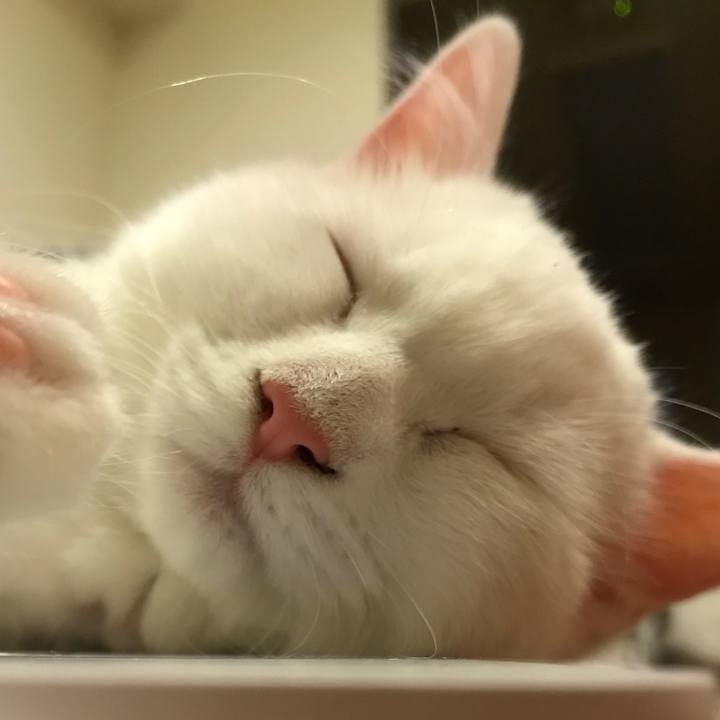 07624f1d ca1d 413a ae4c a9416f17379e 1510223459208