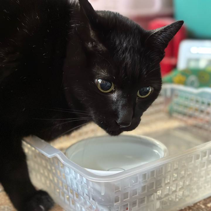 07626d5c 9ebf 429a 9326 70872fda89ce 1670810174928