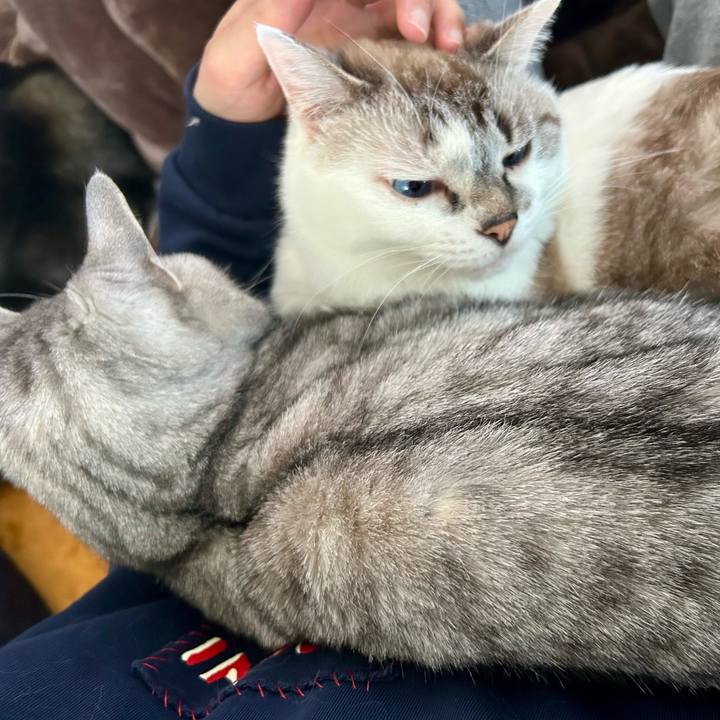 076274d3 b6e6 4bd7 af10 8c1afae648e4 1772967920922