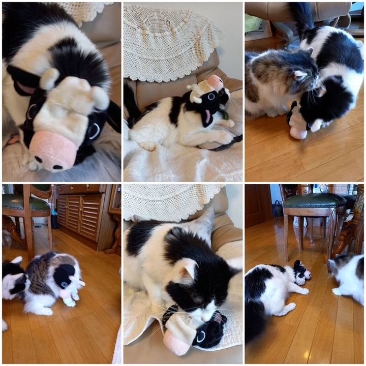 0762752b 02bf 42e2 b261 2d6b396ddf67 1608241400524