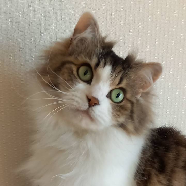 0762816b 7a8d 49f9 9a85 a119b2f324e5 1676721532775