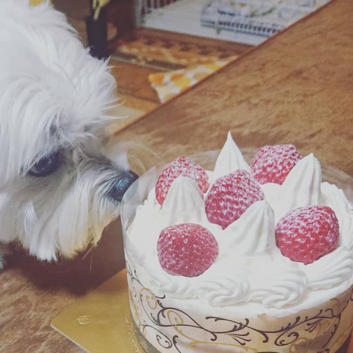 0762a4ec 5e68 432e b22c fb77cf5e2699 1624626571115