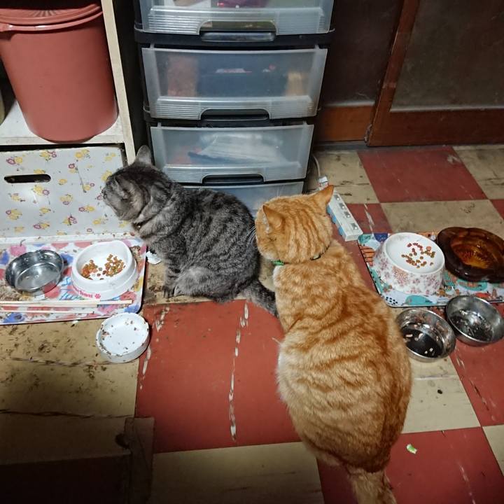 0762d965 a311 49ea b9ef cb3747c54b1f 1584908289946