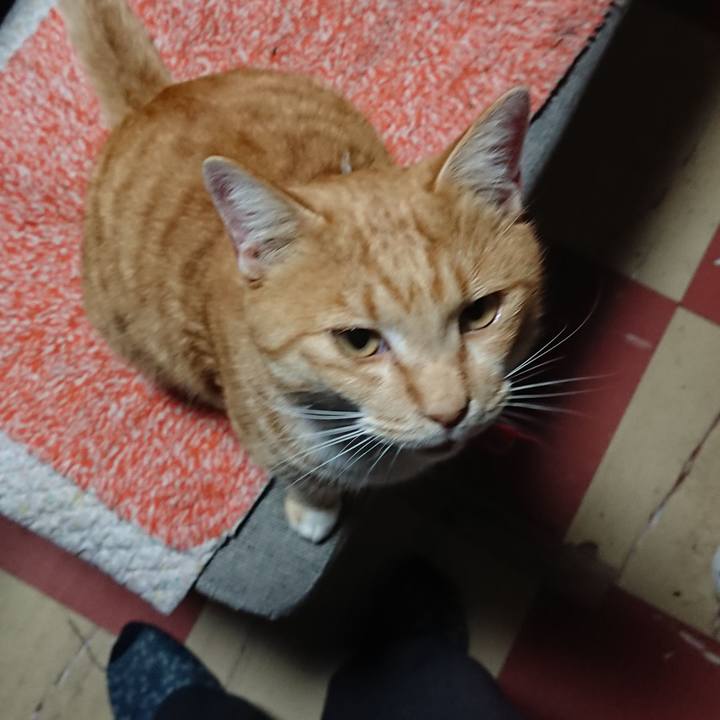 07631215 7119 459d 8e85 7ff19de442cb 1575516875565