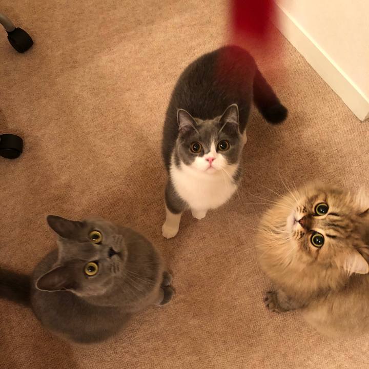 0763280b 8c7b 442e 81cd 4184fc8dfefc 1532611631370