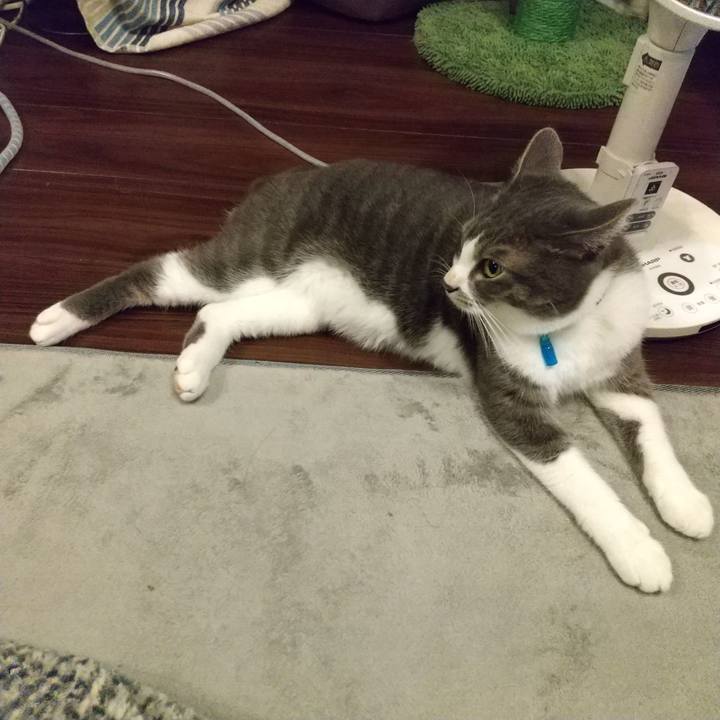 07637aff 1380 445f ac04 64e23a070d38 1604661087199