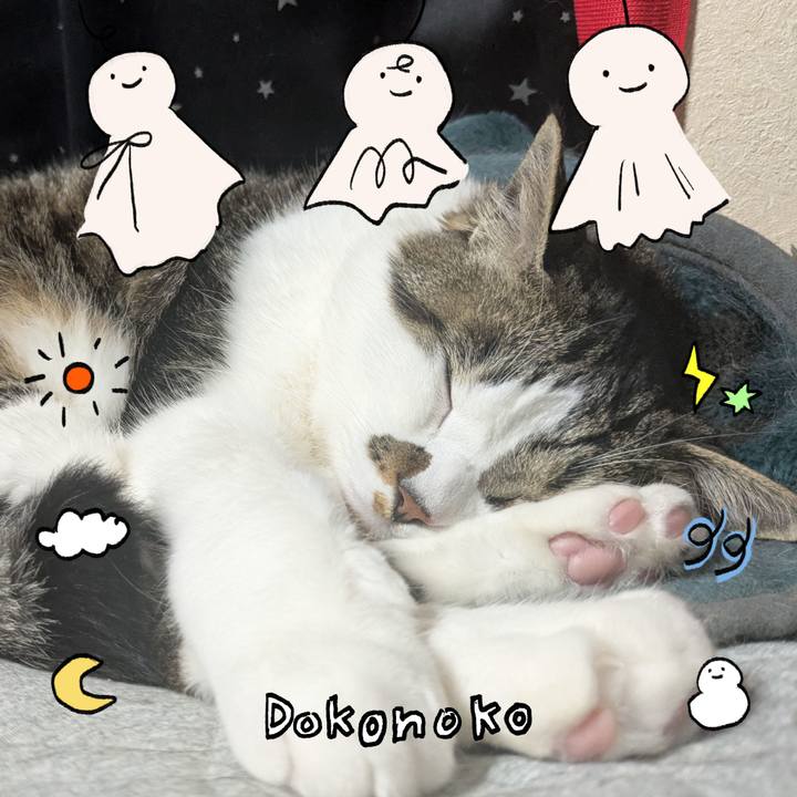 076393ba 159a 44d0 b077 351a106c69ae 1749305930272