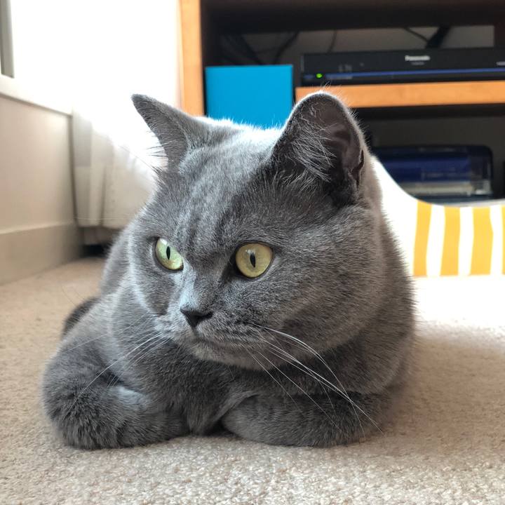 07639ba6 2824 4ae7 ab18 7683e99f79a9 1538989791906