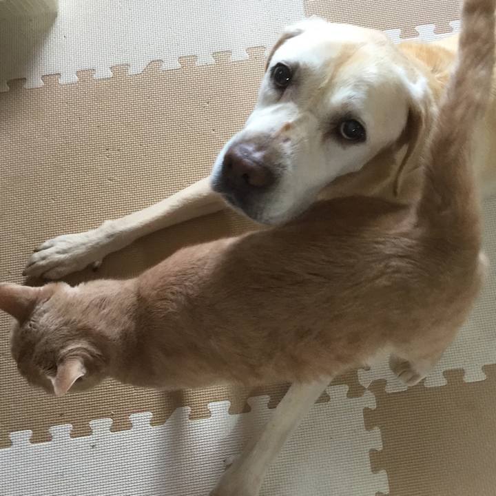 0763de99 b846 412d 93bb decd156d107a 1568111742043