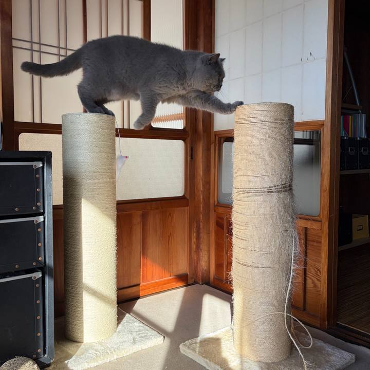 076428f5 358b 4f9b a53c cd99af3c51ae 1764982956120